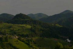 header-landscape-1-768x200