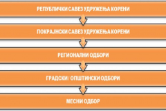 Organizacija_01-1024x593