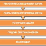 Organizacija_01-150x150