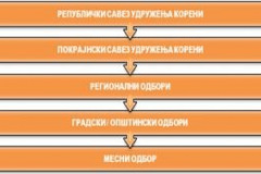 Organizacija_01-300x174