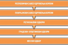 Organizacija_01-768x444