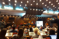 20200303_101157-1536x1152