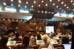 20200303_101157-300x225