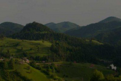 header-landscape-1-1024x267